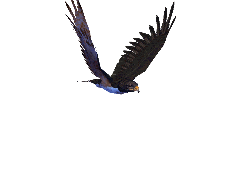 Hawk Mk